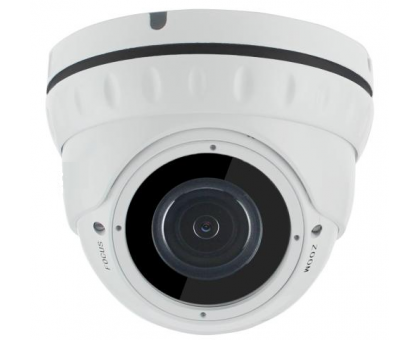 IP Видеокамера AltCam IDMV52IR