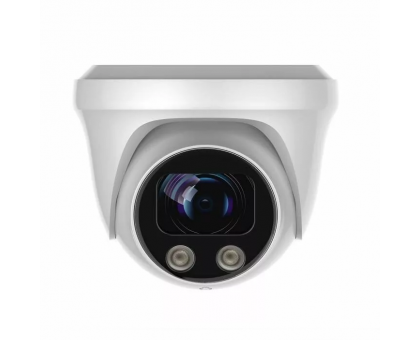 IP Видеокамера AltCam IDMV81IR