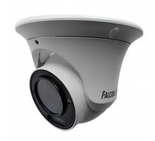 IP видеокамера Falcon Eye FE-IPC-DV2-40pa