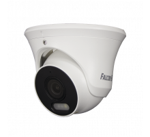 IP видеокамера Falcon Eye FE-IPC-D2-30p
