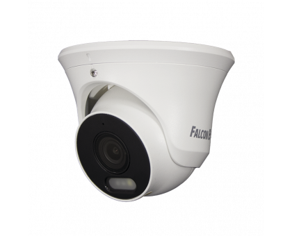 IP видеокамера Falcon Eye FE-IPC-D2-30p