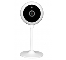 Wi-Fi видеокамера Falcon Eye Spaik 2