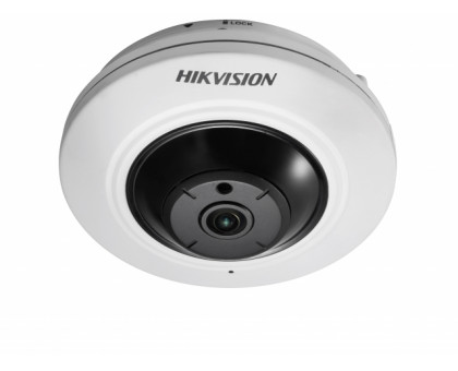 IP Видеокамера Hikvision DS-2CD2955FWD-I (1.05mm)