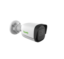 IP-Видеокамера Tiandy TC-C34WS Spec:I5W/E/Y/2.8mm/V4.2